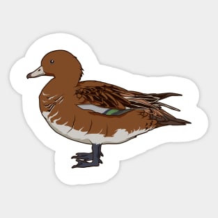 Drawing of a Eurasian wigeon Sticker